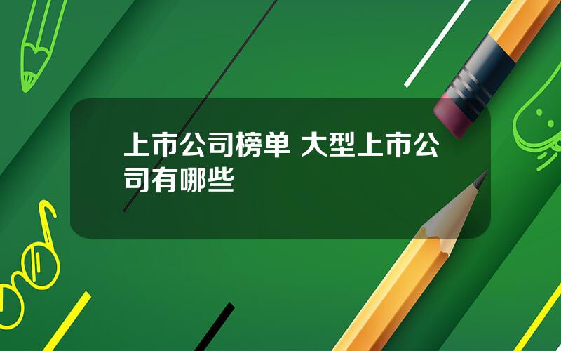 上市公司榜单 大型上市公司有哪些